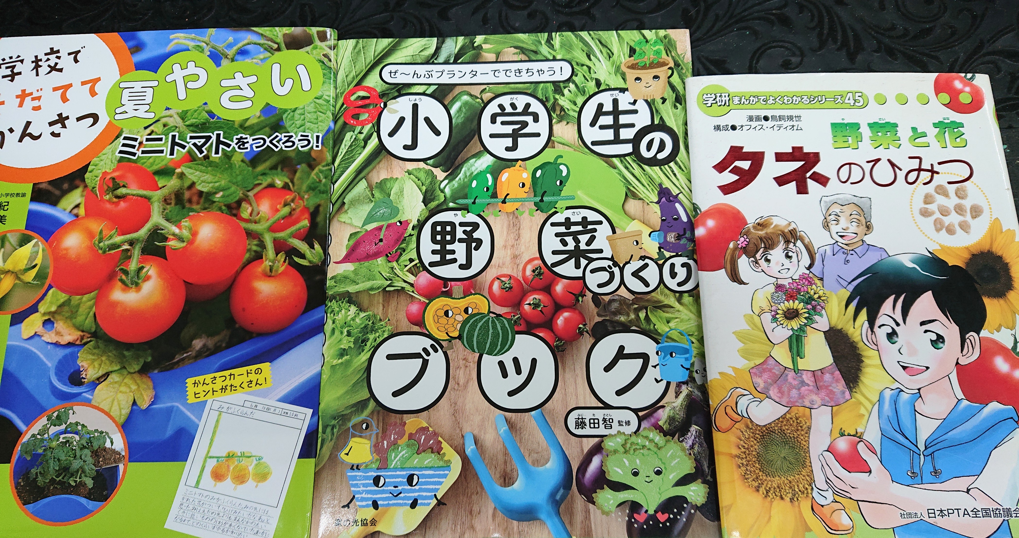 がんばって！子どもたちの野菜作り